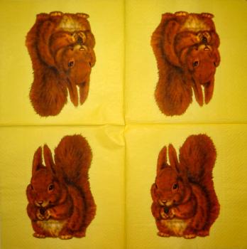 048 Eichhörnchen - 3-lagig (orange)